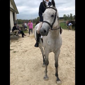 Meet your Posher, Emma